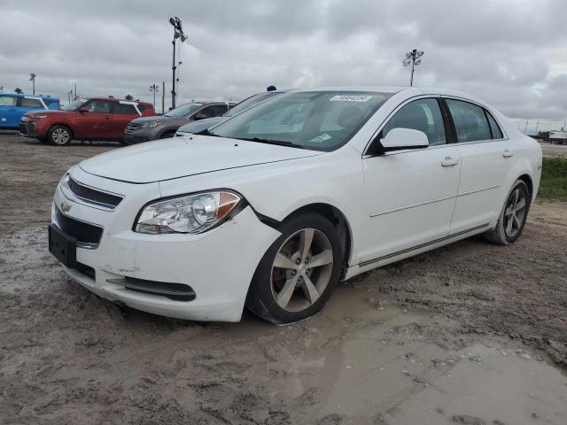 1G1ZC5E1XBF213995 - 2011 CHEVROLET MALIBU 1LT 白色 照片 1