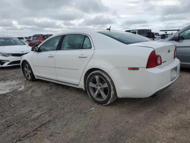 1G1ZC5E1XBF213995 - 2011 CHEVROLET MALIBU 1LT 白色 照片 2