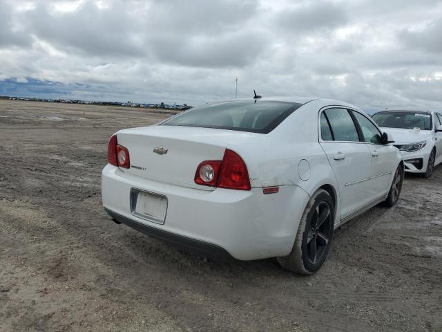 1G1ZC5E1XBF213995 - 2011 CHEVROLET MALIBU 1LT 白色 照片 3