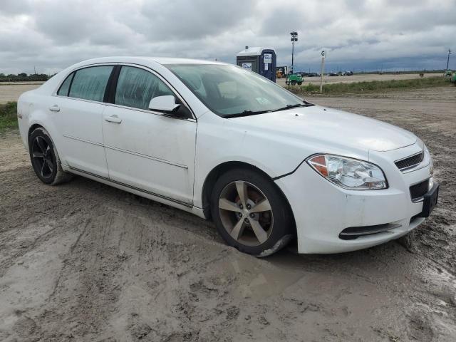 1G1ZC5E1XBF213995 - 2011 CHEVROLET MALIBU 1LT 白色 照片 4