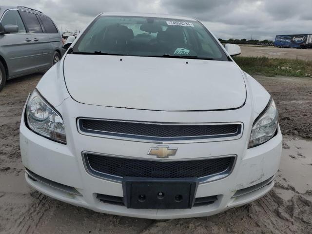 1G1ZC5E1XBF213995 - 2011 CHEVROLET MALIBU 1LT 白色 照片 5