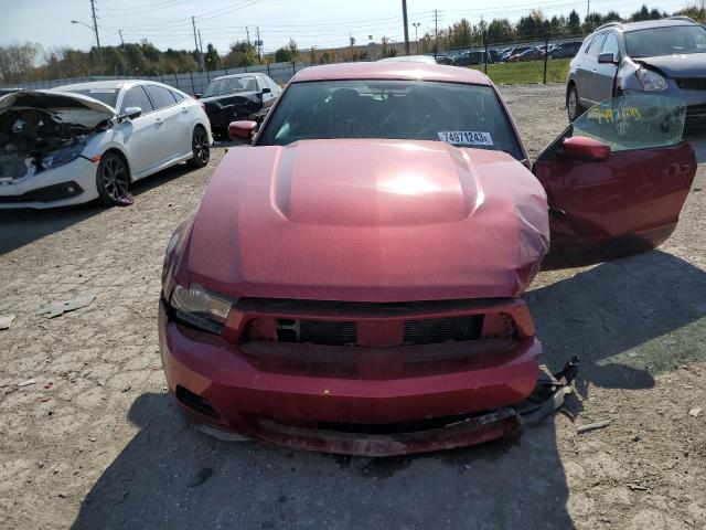 1ZVBP8AN6A5155084 - 2010 FORD MUSTANG RED photo 5