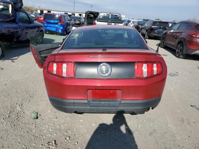 1ZVBP8AN6A5155084 - 2010 FORD MUSTANG RED photo 6