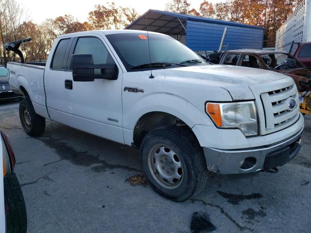 1FTFX1ET9CKD11627 - 2012 FORD F150 SUPER CAB WHITE photo 4