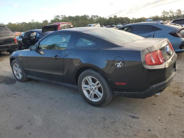 1ZVBP8AM2C5216263 - 2012 FORD MUSTANG BLACK photo 2