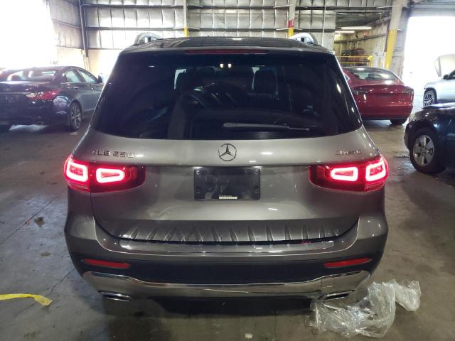 WDC4M4HB8LW008068 - 2020 MERCEDES-BENZ GLB 250 4MATIC GRAY photo 6