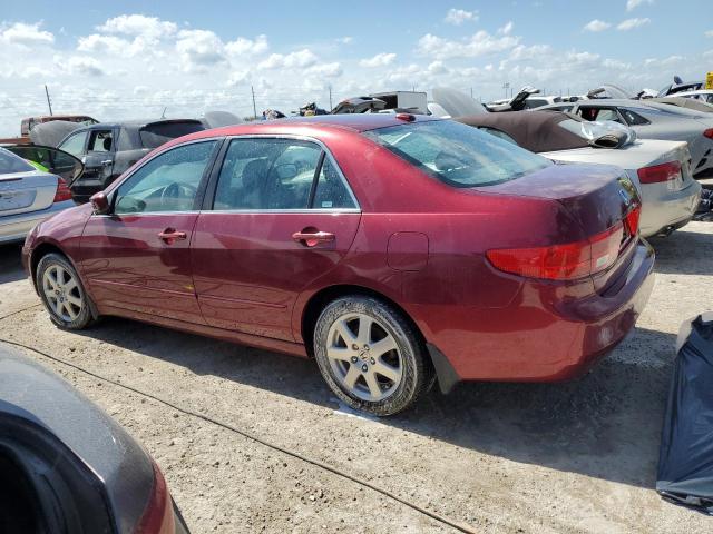 1HGCM66575A041218 - 2005 HONDA ACCORD EX RED photo 2