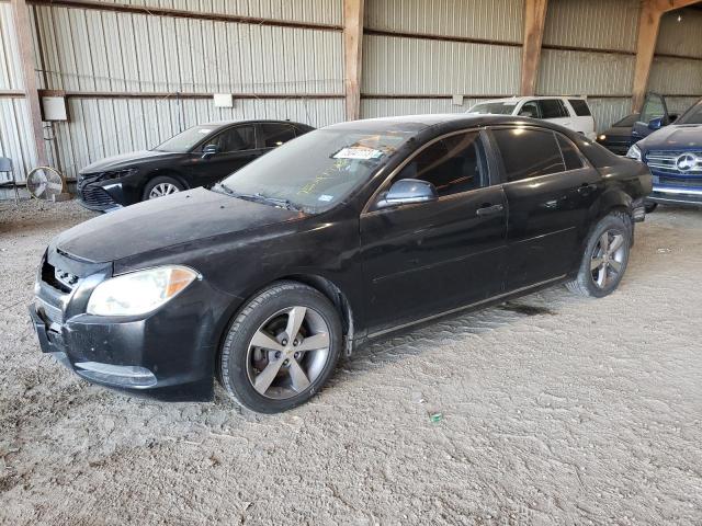 1G1ZC5EU4BF347038 - 2011 CHEVROLET MALIBU 1LT Qara foto 1
