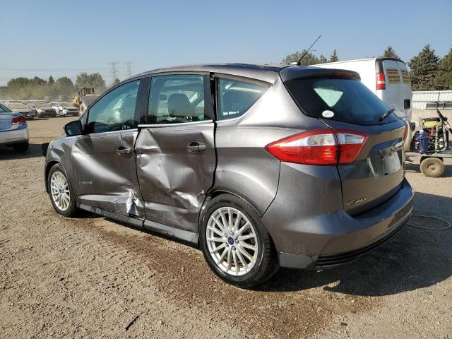 1FADP5BU9DL507113 - 2013 FORD C-MAX SEL GRAY photo 2