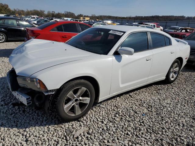 2C3CDXBG8EH215802 - 2014 DODGE CHARGER SE WHITE photo 1