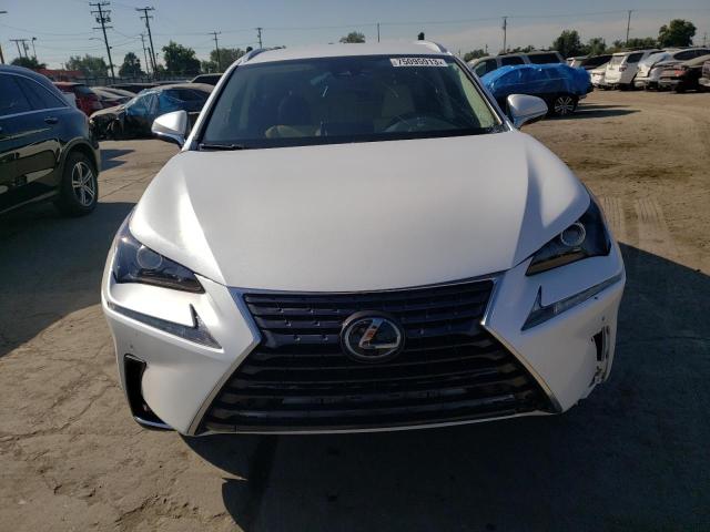 JTJAARBZ1L5008551 - 2020 LEXUS NX 300 BASE Ağ foto 5