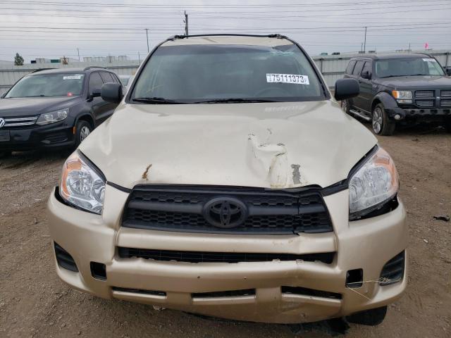 JTMZF4DV1AD018603 - 2010 TOYOTA RAV4 CREAM photo 5