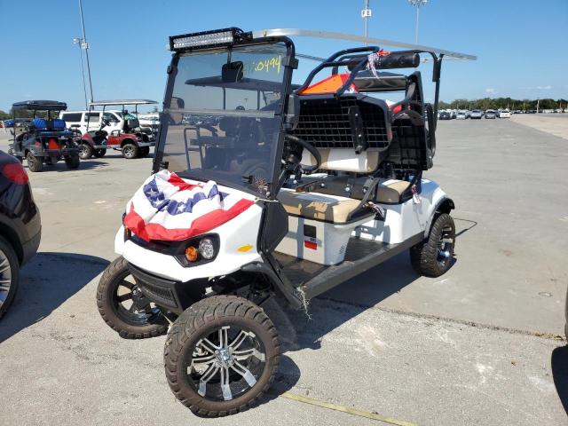 10012043G01 - 2022 OTHER GOLF CART WHITE photo 2