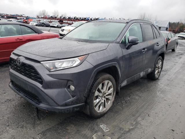 2T3R1RFV0LW117444 - 2020 TOYOTA RAV4 XLE GRAY photo 1