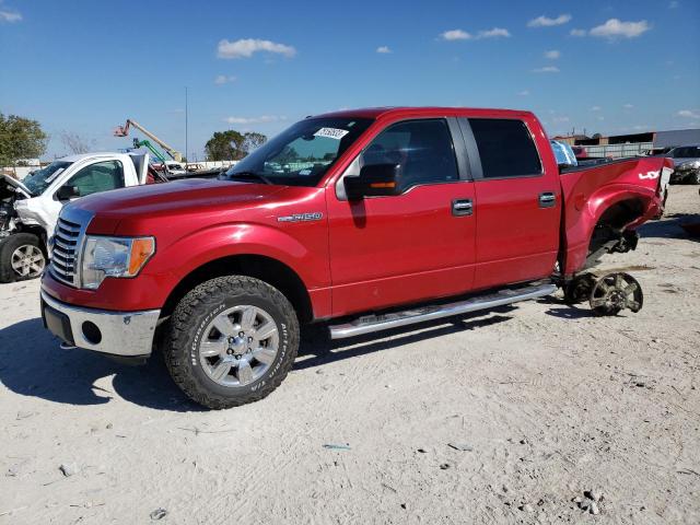 1FTFW1EF1BFC76439 - 2011 FORD F150 SUPERCREW RED photo 1