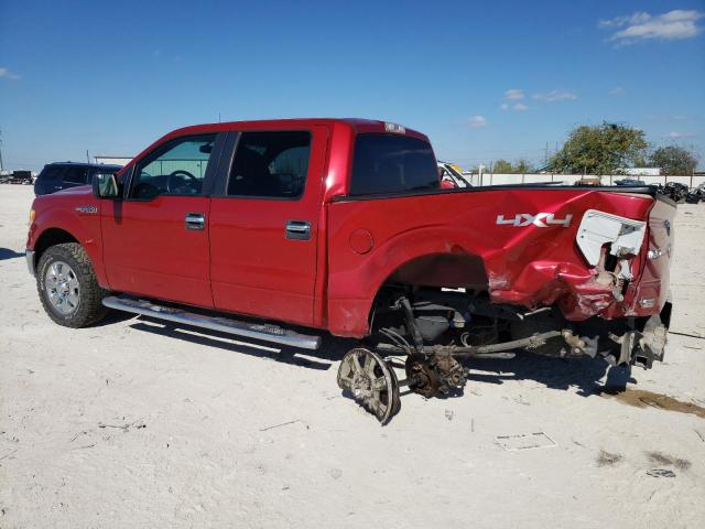 1FTFW1EF1BFC76439 - 2011 FORD F150 SUPERCREW RED photo 2