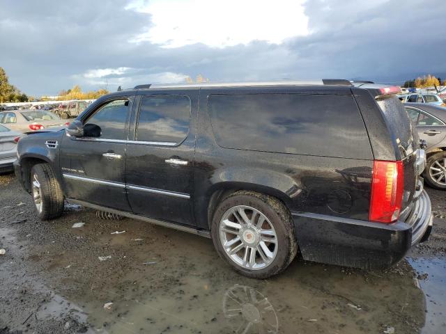1GYS4KEF1DR100514 - 2013 CADILLAC ESCALADE ESV PLATINUM შავი ფოტო 2