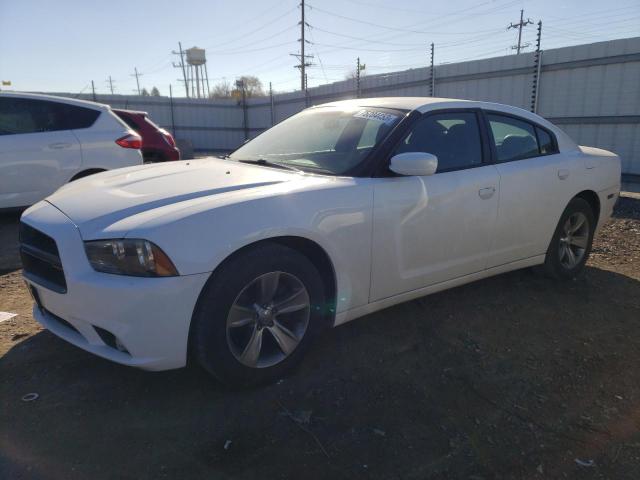 2C3CDXAG8DH545732 - 2013 DODGE CHARGER POLICE WHITE photo 1