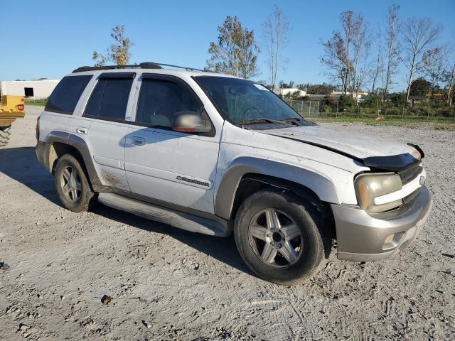 1GNDS13S722432968 - 2002 CHEVROLET TRAILBLAZE WHITE photo 4