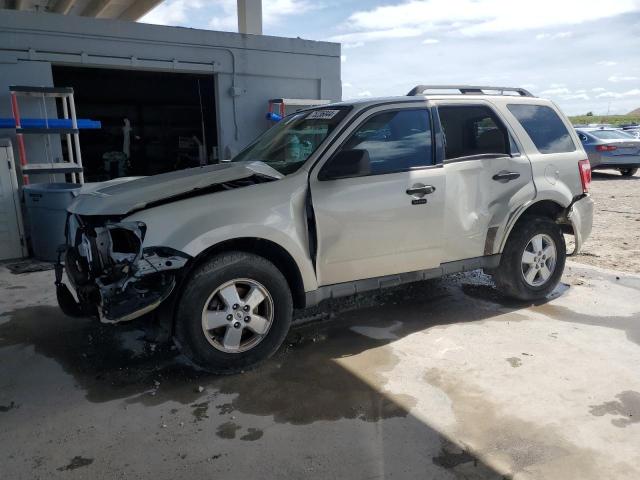 2009 FORD ESCAPE XLT, 