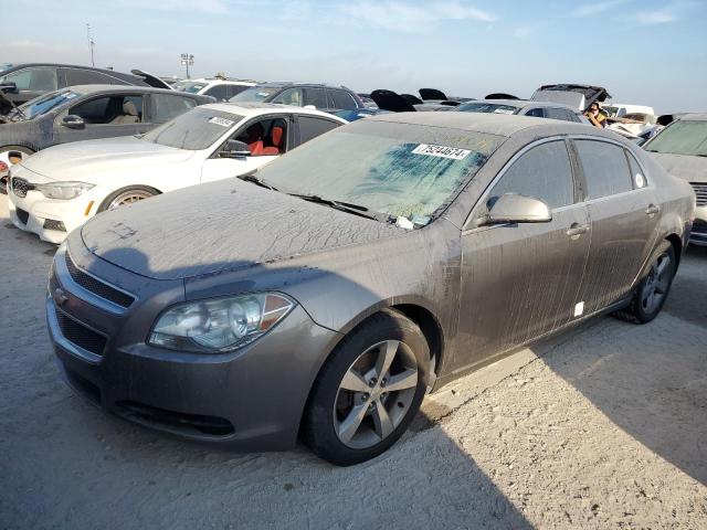 1G1ZC5E12BF317588 - 2011 CHEVROLET MALIBU 1LT 棕色 照片 1