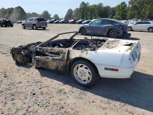 1G1YY3385M5100109 - 1991 CHEVROLET CORVETTE BURN photo 2