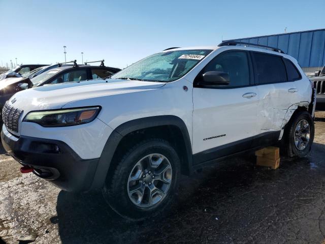 1C4PJMBX6KD391096 - 2019 JEEP CHEROKEE TRAILHAWK Ağ foto 1