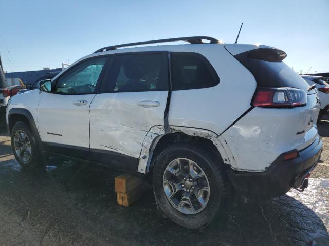 1C4PJMBX6KD391096 - 2019 JEEP CHEROKEE TRAILHAWK Ağ foto 2