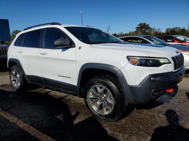 1C4PJMBX6KD391096 - 2019 JEEP CHEROKEE TRAILHAWK Ağ foto 4