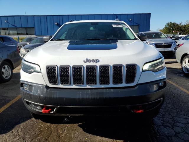 1C4PJMBX6KD391096 - 2019 JEEP CHEROKEE TRAILHAWK Ağ foto 5