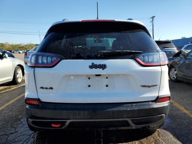 1C4PJMBX6KD391096 - 2019 JEEP CHEROKEE TRAILHAWK Ağ foto 6