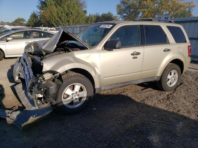 2012 FORD ESCAPE XLT, 