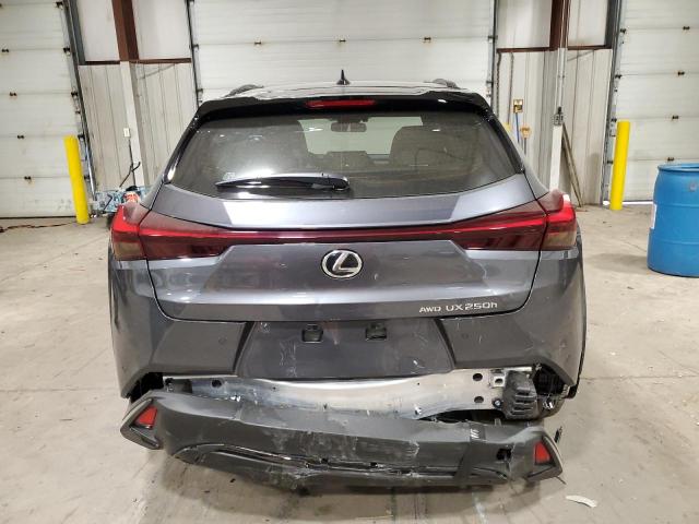 JTHB9JBH6R2074336 - 2024 LEXUS UX 250H BASE GRAY photo 6