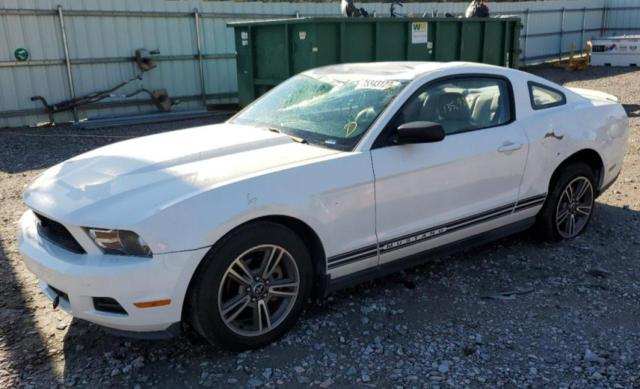 1ZVBP8AN0A5166971 - 2010 FORD MUSTANG WHITE photo 1