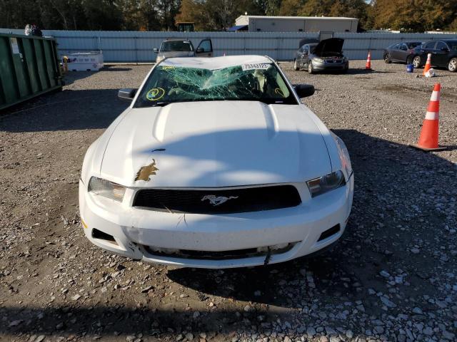 1ZVBP8AN0A5166971 - 2010 FORD MUSTANG WHITE photo 5