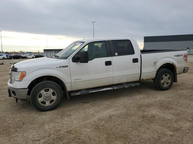 2013 FORD F150 SUPERCREW, 