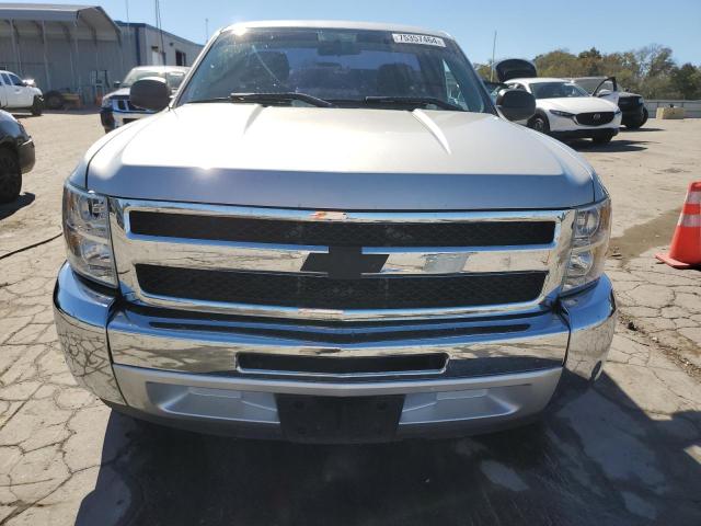 1GCNCPEX2DZ240681 - 2013 CHEVROLET SILVERADO C1500 SILVER photo 5