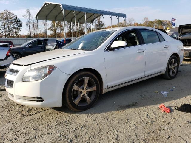 1G1ZC5EUXBF349215 - 2011 CHEVROLET MALIBU 1LT 白色 照片 1