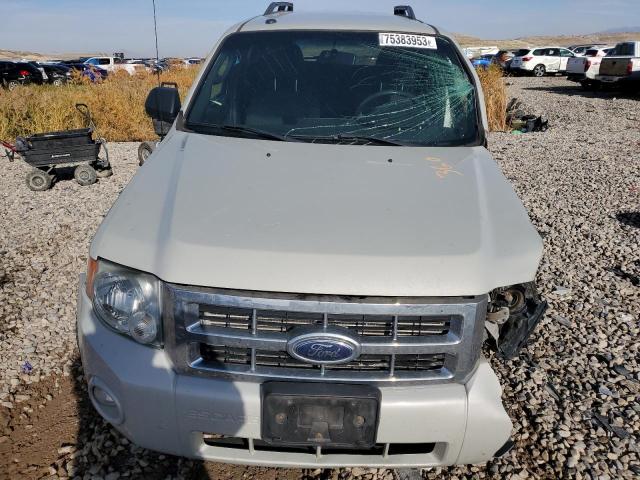 1FMCU93G69KA18031 - 2009 FORD ESCAPE XLT BEIGE photo 5