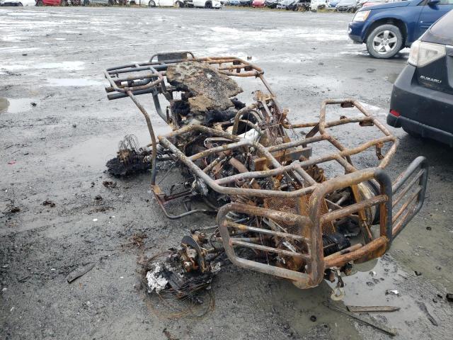 4UF07ATV27T213901 - 2007 ARCTIC CAT ARTIC CAT Сгоревший фото 1