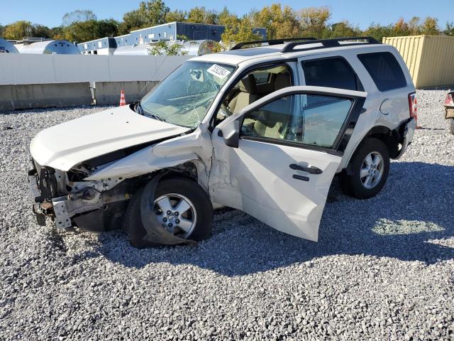 2010 FORD ESCAPE XLT, 