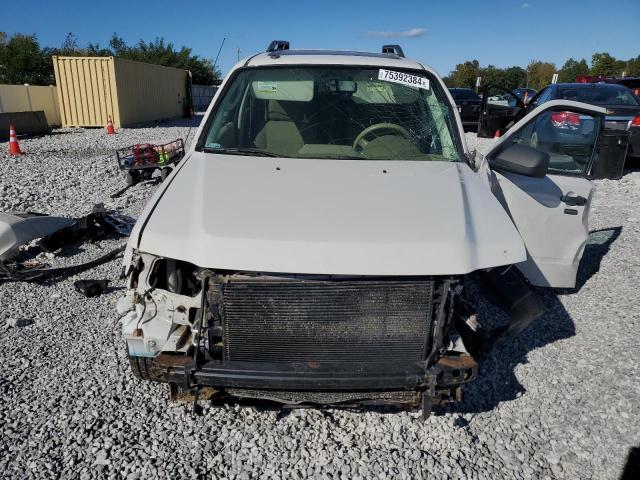1FMCU0DGXAKA04194 - 2010 FORD ESCAPE XLT WHITE photo 5
