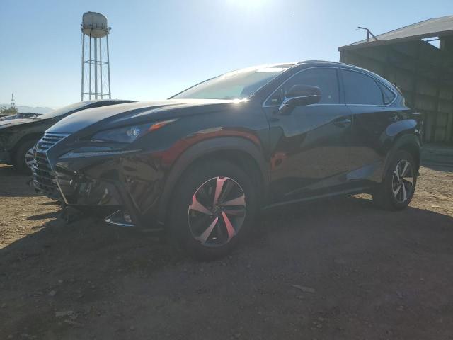 JTJYARBZ8K2134193 - 2019 LEXUS NX 300 BASE 棕色 照片 1