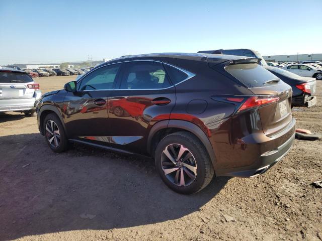 JTJYARBZ8K2134193 - 2019 LEXUS NX 300 BASE 棕色 照片 2