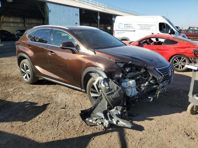 JTJYARBZ8K2134193 - 2019 LEXUS NX 300 BASE 棕色 照片 4