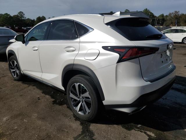JTJGARBZ4M5031396 - 2021 LEXUS NX 300 BASE 白色 照片 2