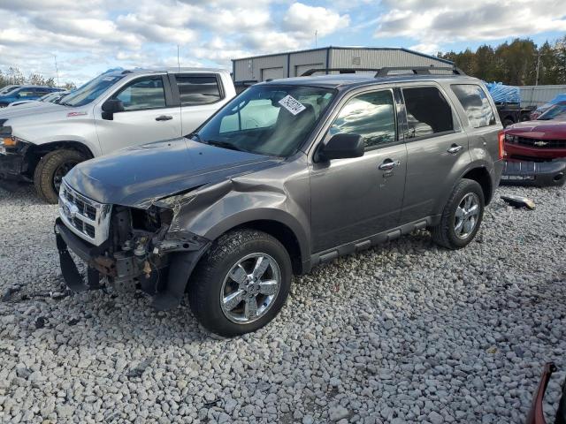 2011 FORD ESCAPE XLT, 