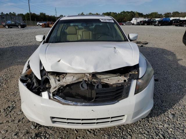 1HGCP26888A163732 - 2008 HONDA ACCORD EXL WHITE photo 5