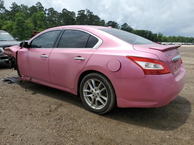 1N4AA5AP1BC852035 - 2011 NISSAN MAXIMA S PINK photo 2