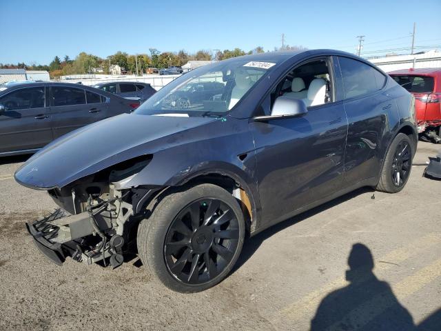 2023 TESLA MODEL Y, 